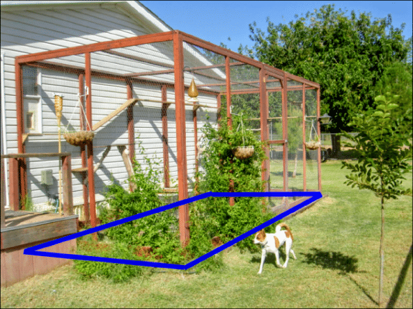 Outdoor cat enclosures store diy