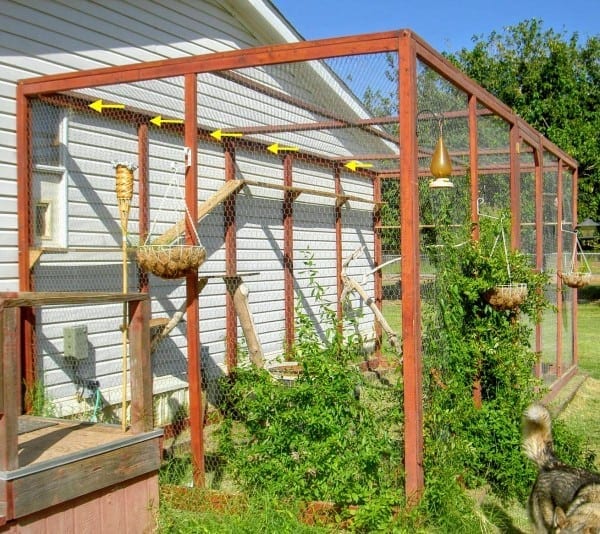 How To build an outdoor cat enclosure or catio