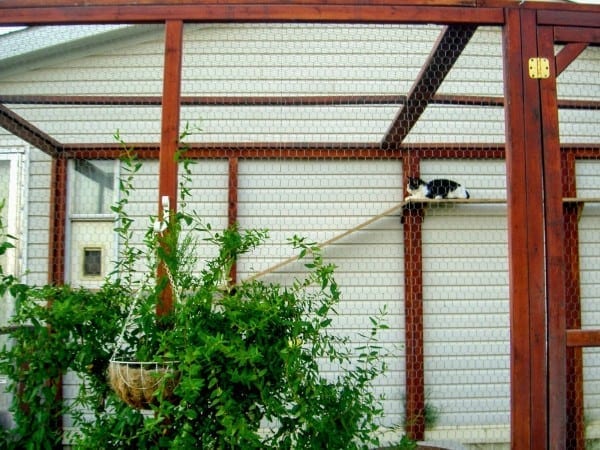 Diy outdoor cat outlet enclosure attached to house