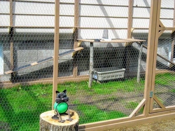 Building outdoor best sale cat enclosure