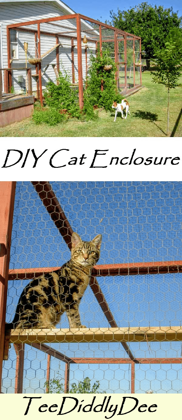 Outside cat enclosures hotsell