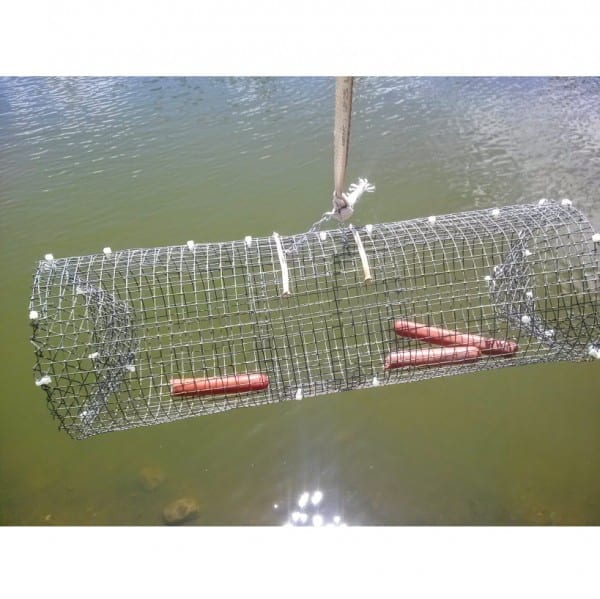 DIY Crayfish Trap for Survival