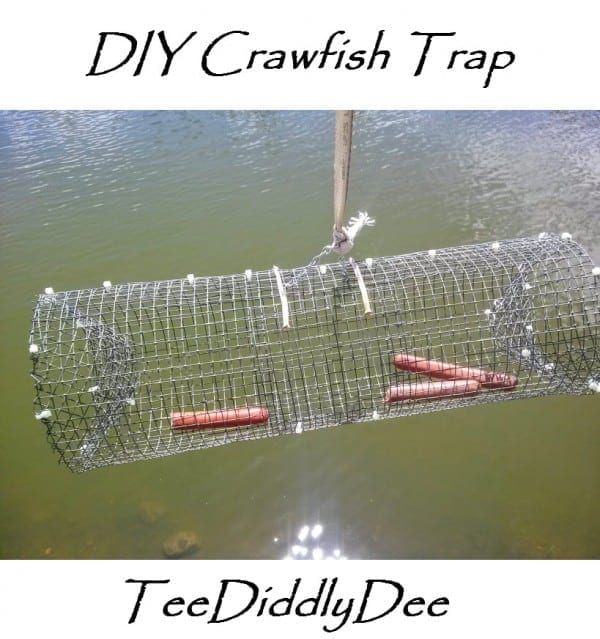 Catching crawfish yourself is simple