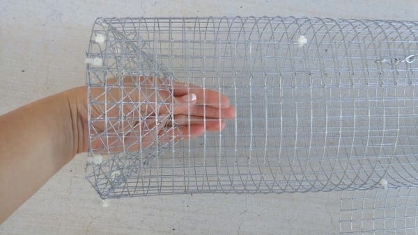 DIY Fish Trap, How to Make a Fish Trap