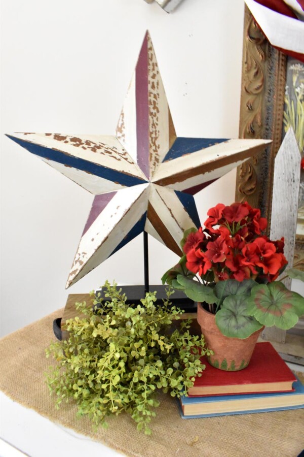 Close up of large patriotic wooden star with red geranium and green plant in front of it.